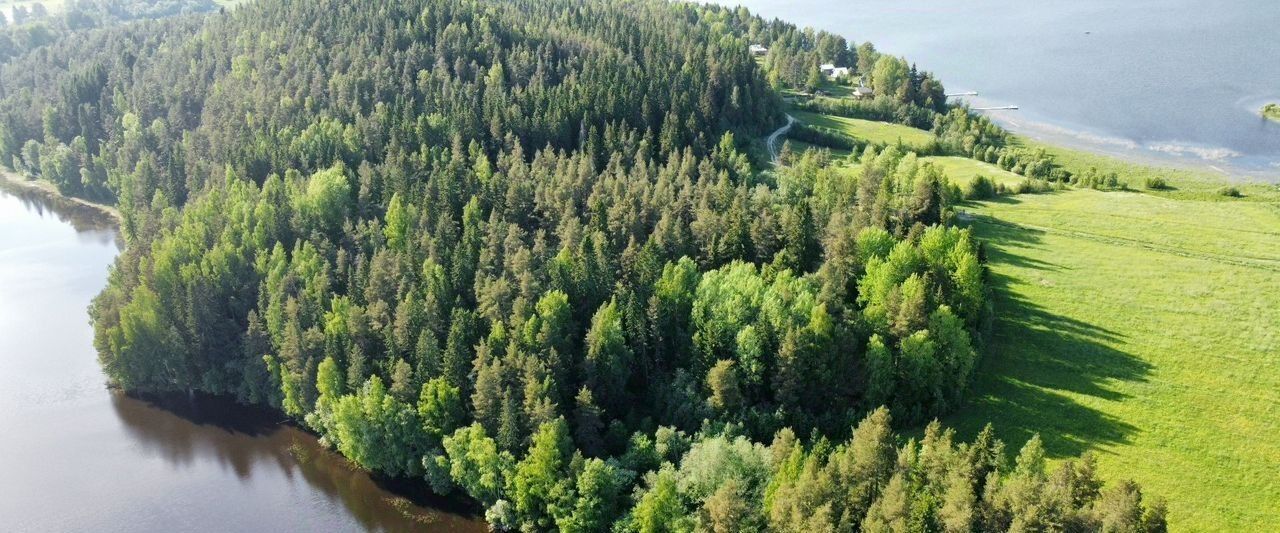 земля г Сортавала п Мейери Сортавальский муниципальный округ фото 2
