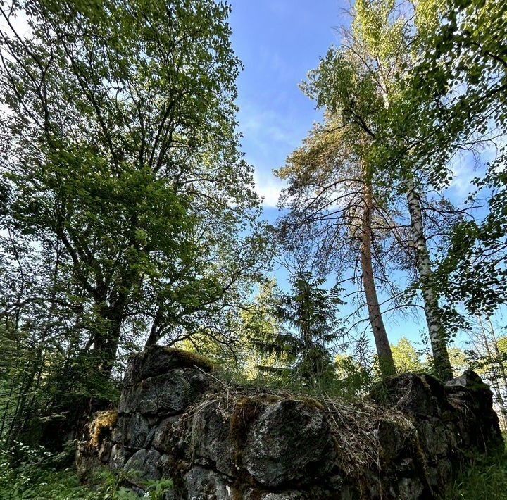 земля г Сортавала п Мейери Сортавальский муниципальный округ фото 13