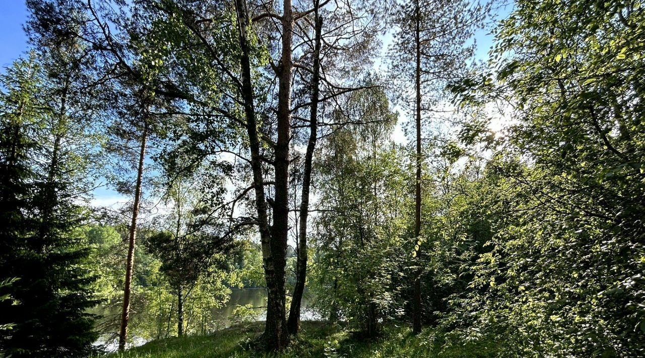 земля г Сортавала п Мейери Сортавальский муниципальный округ фото 17