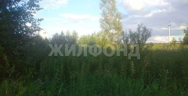 ул Полевая Каменский сельсовет, Новосибирск фото