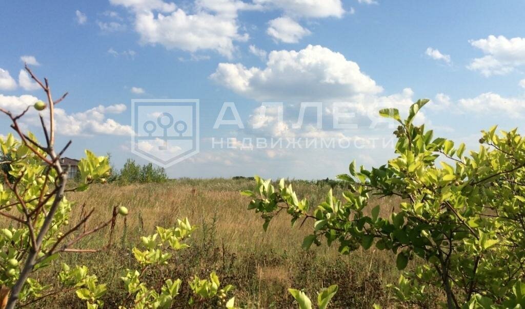 земля г Истра КП Миллениум парк фото 4