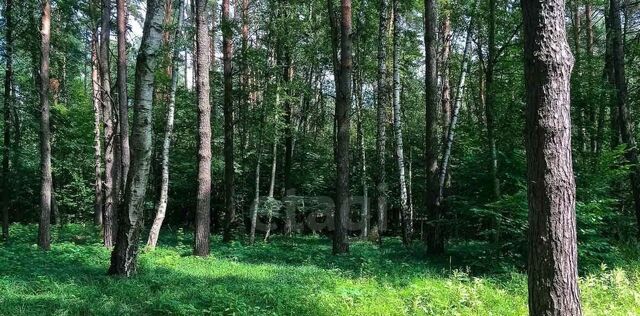 ул Лесная 25 Немчиновка фото