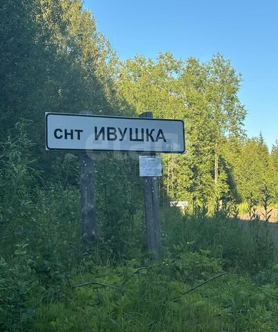 земля снт тер.Ивушка фото