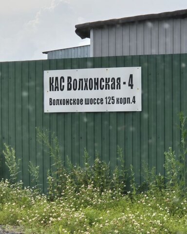 р-н Красносельский муниципальный округ Константиновское фото