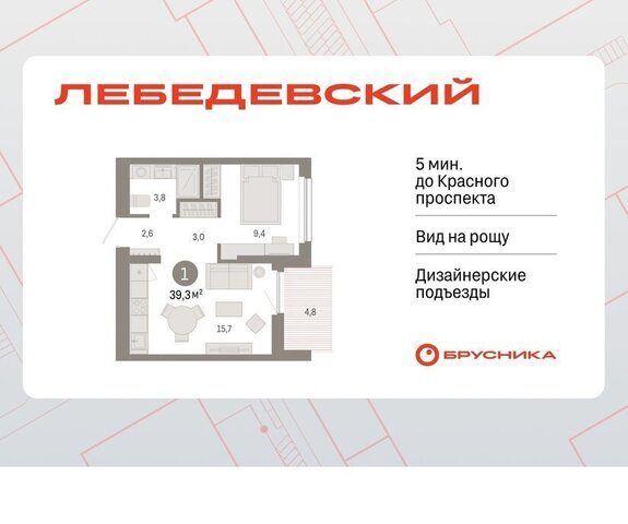 Заельцовская квартал № 5 Лебедевский, 1/3 фото