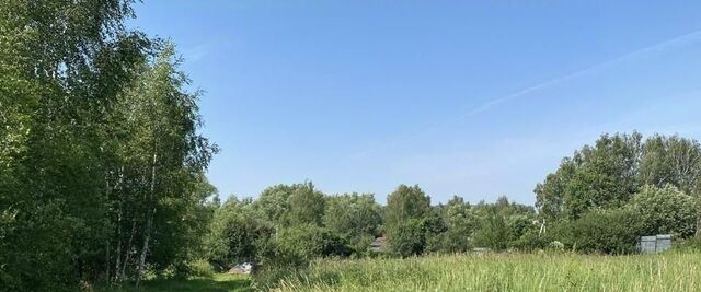 д Козлянино ул Садовая фото