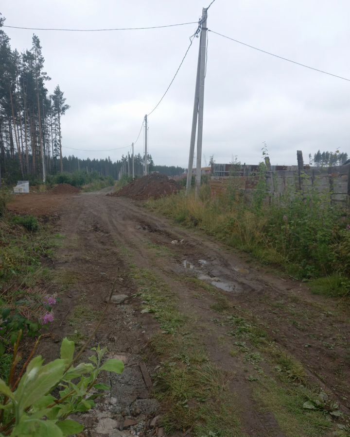 земля г Ревда ул Рябиновая фото 3