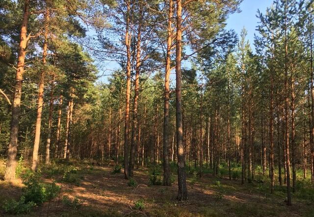 ул Малая Нагорная 59 км, Михнево, Новокаширское шоссе фото