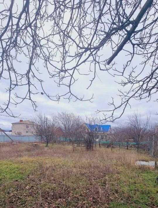 земля г Новороссийск ст-ца Раевская ул Щорса 7 фото 2