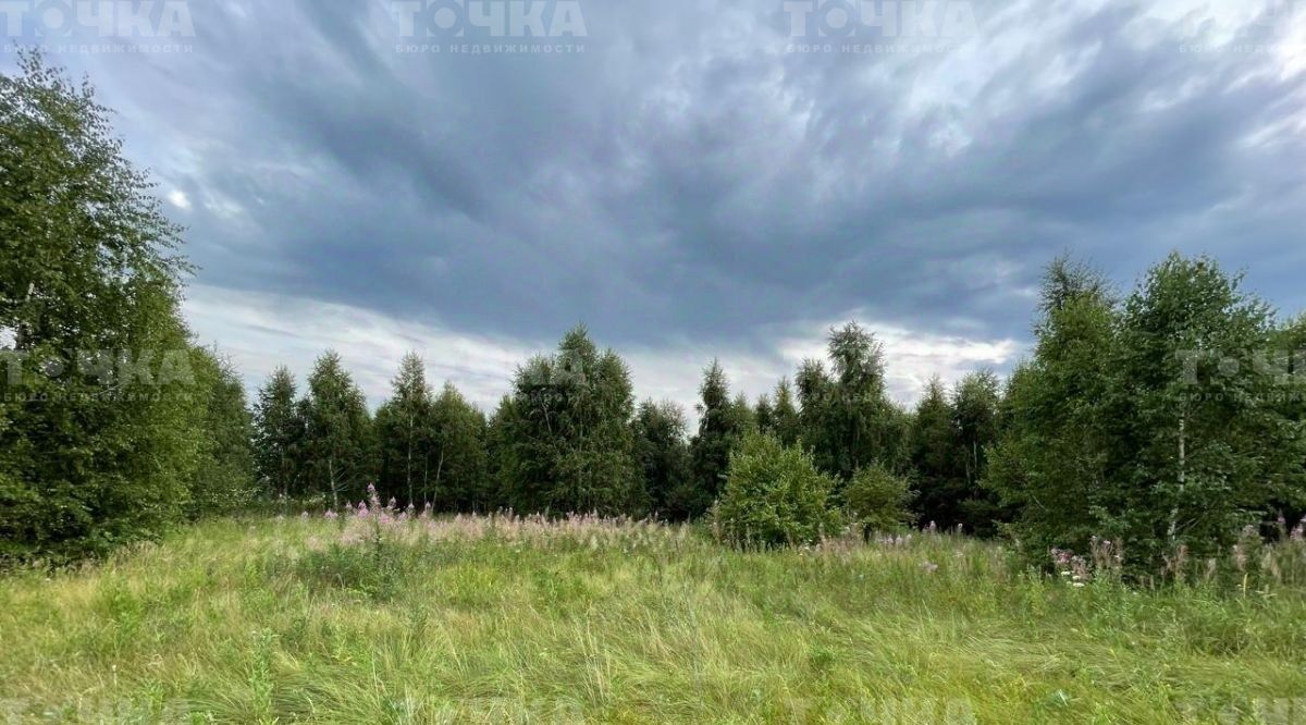 земля г Чебаркуль ул. Дружная фото 2