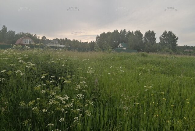 д Нижняя Вырка ул Тенистая 41 фото