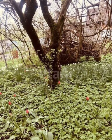 земля р-н Центральный снт Весна ул Космонавтов 8 фото