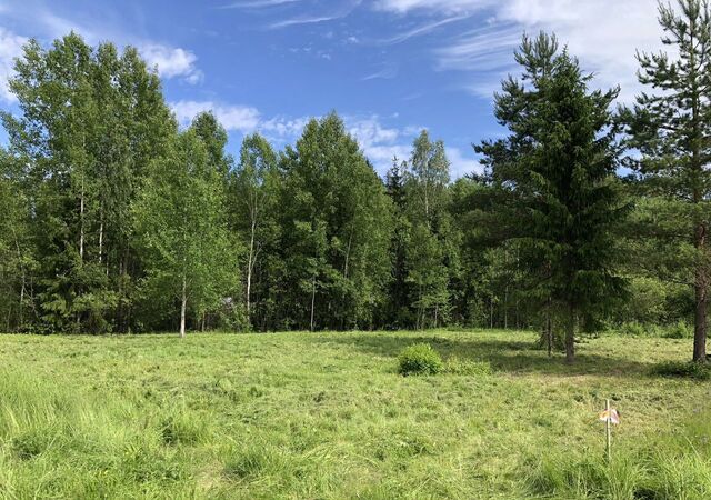 земля Трасса Скандинавия, 108 км, Селезнёвское сельское поселение, садоводческое некоммерческое товарищество Росинка фото