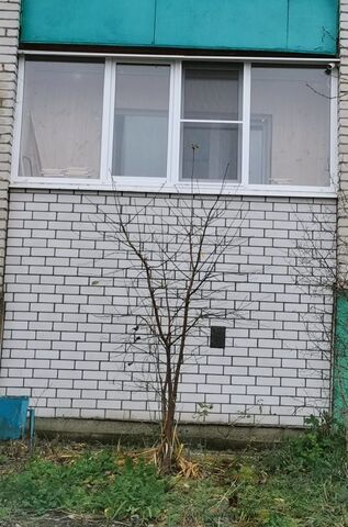 квартира ул Юбилейная 23 Вяземский муниципальный округ фото