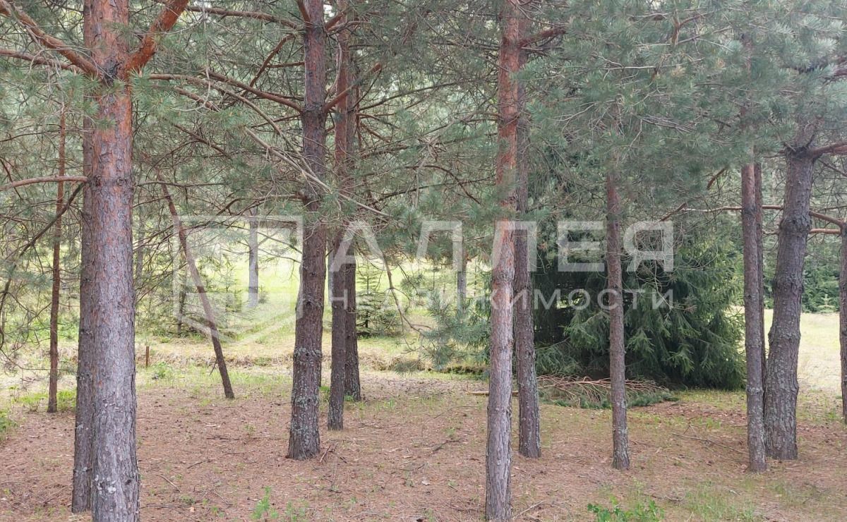 земля г Истра 26 км, КП Красновидово-2, 2, Рождествено, Волоколамское шоссе фото 3