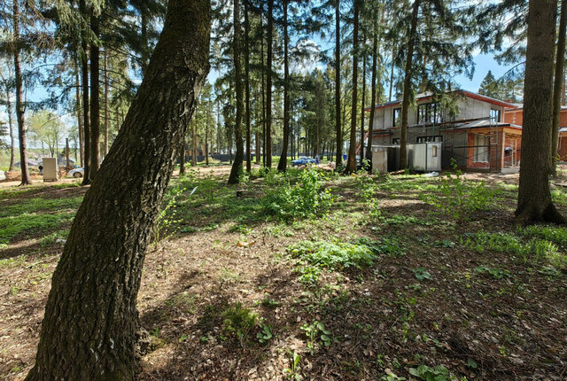 Сходня, КП Сходня форест парк фото