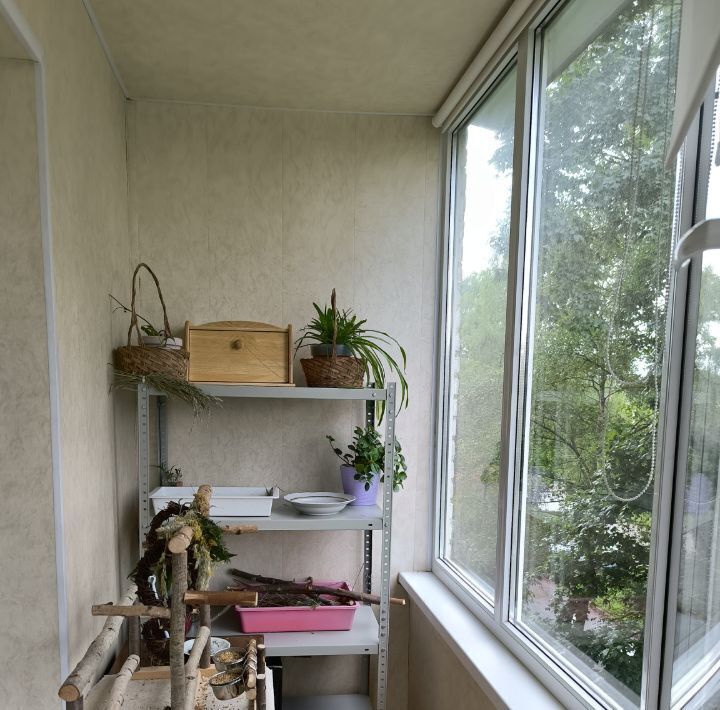 квартира городской округ Истра г Дедовск ул Маршала Жукова 2 Нахабино фото 14