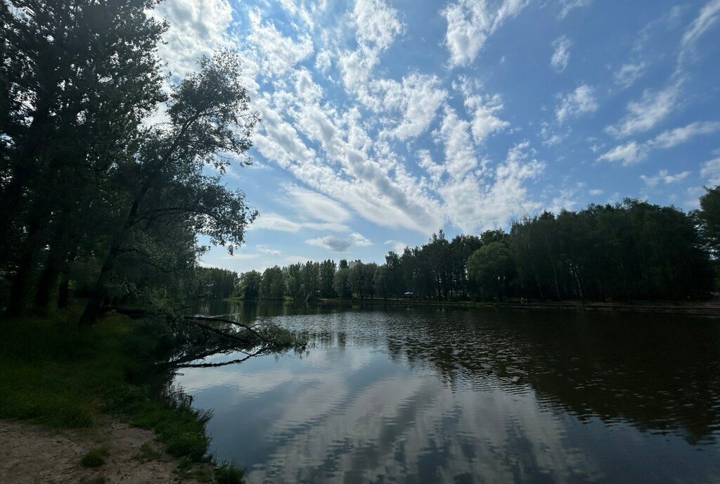 квартира г Ярославль р-н Фрунзенский пр-кт Фрунзе 56д фото 1