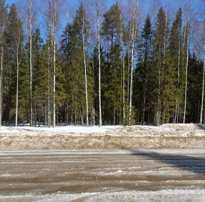 офис г Домодедово Пахра-Киселиха СНТ, Домодедовская, 8 фото 1