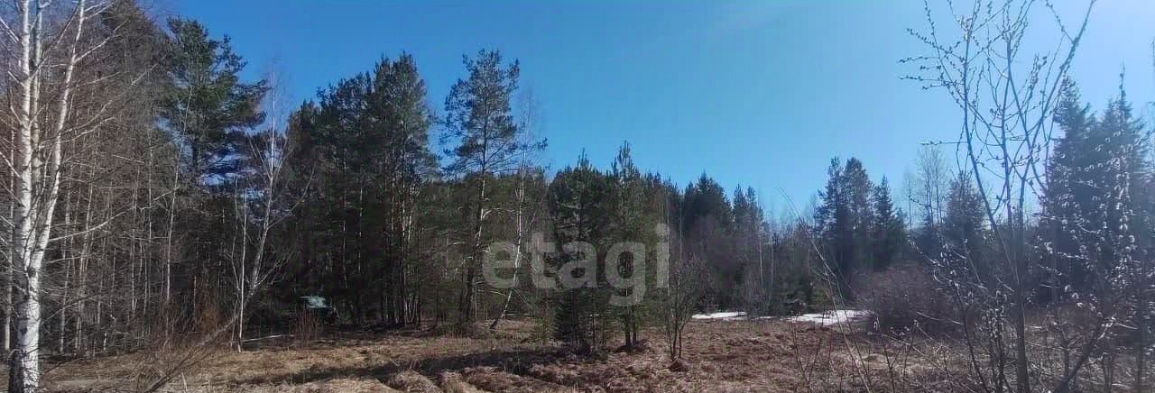 земля г Нижний Тагил р-н Ленинский Нижняя Черемшанка фото 10