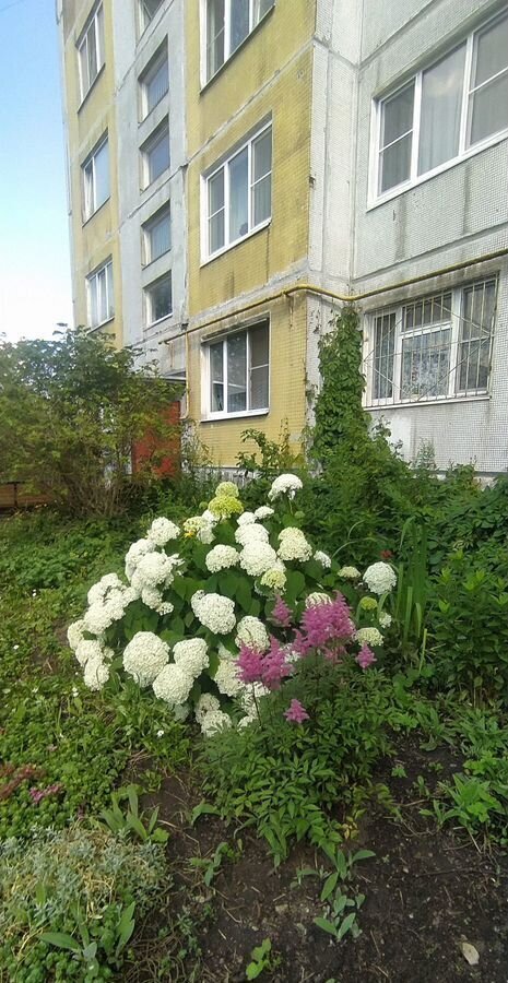 комната р-н Гатчинский г Гатчина ул Володарского 33 фото 14