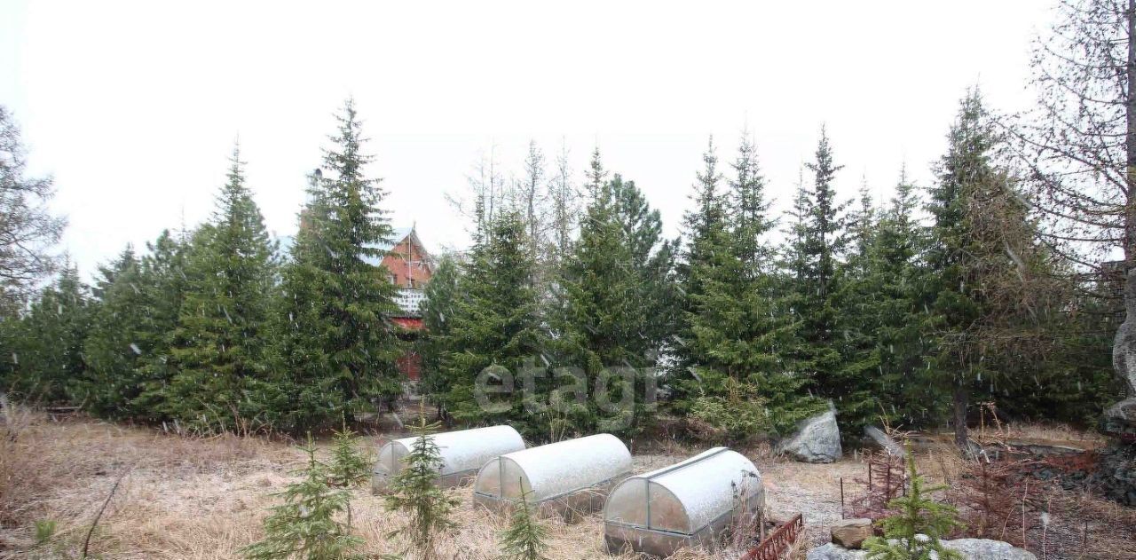 дом г Новый Уренгой снт Энтузиаст ул Приозёрная СОДНТ фото 11