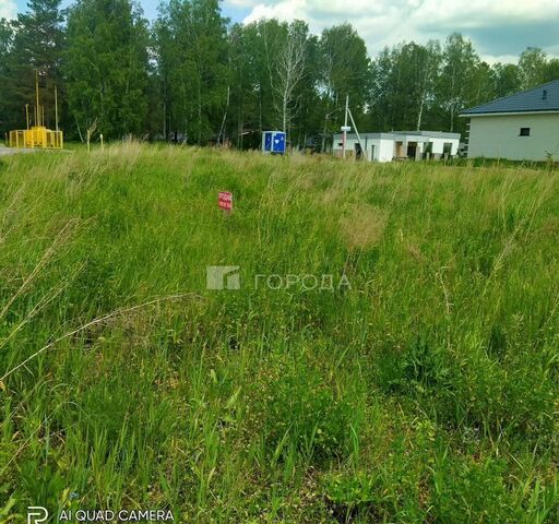 ул Ореста Кипренского Барнаул фото