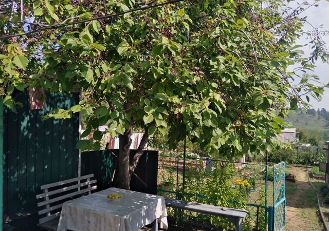 садовое товарищество Берёзка фото