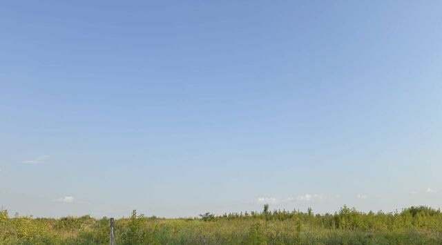 1-й кв-л, Домодедовская фото