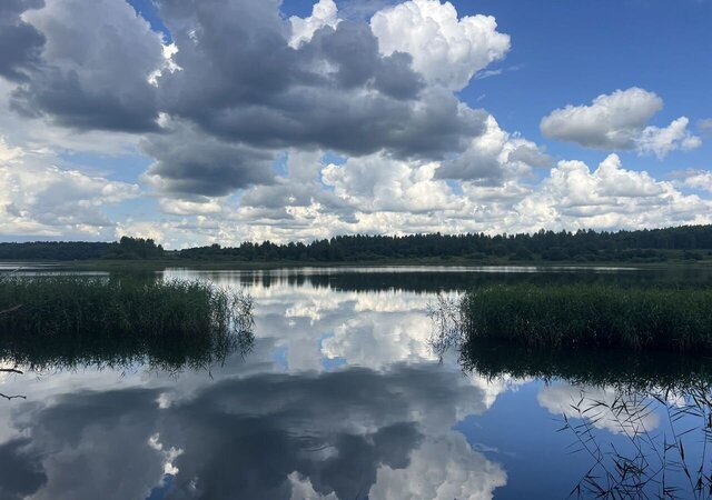 земля ул Садовая 12 КП Пенеснарь 2, Печерск фото
