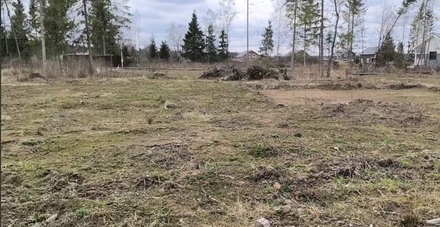 58 км, ДП Бархатово лес, Наро-Фоминск, Киевское шоссе фото