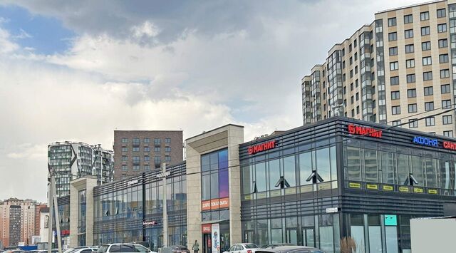 Южное Кудрово ул Центральная 16а Улица Дыбенко, Заневское городское поселение фото