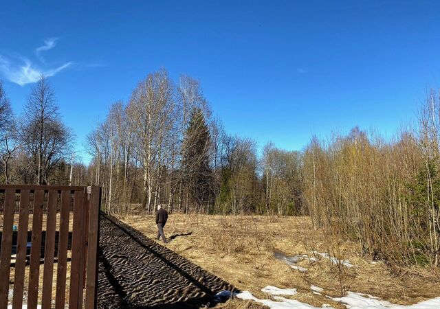 земля ул Лесная Пермский муниципальный округ фото