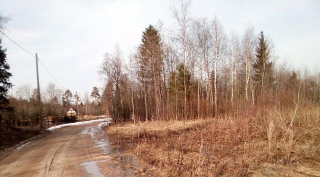 с Сямжа ул Сиреневая 8 фото с Сямжа ул Сиреневая 8 фото