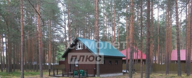 м Сосновый бор 27 фото м Сосновый бор 27 фото