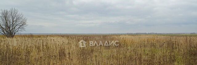 р-н Медведевский д Малый Яшнур ул Малый Яшнур Пекшиксолинское с/пос фото