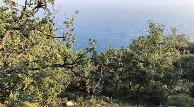 г Ялта пгт Санаторное ул Гагарина 5 фото г Ялта пгт Санаторное ул Гагарина 5 фото