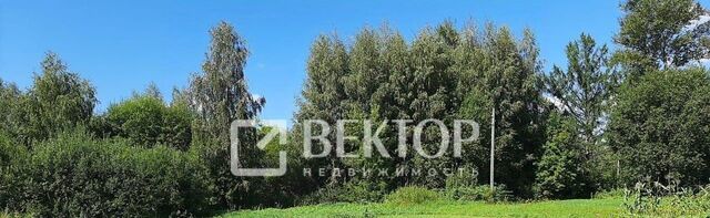 р-н Костромской с Чернопенье ул Новая 30 Чернопенское с/пос фото р-н Костромской с Чернопенье ул Новая 30 Чернопенское с/пос фото