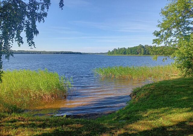 земля д Лесуково Белозерск фото