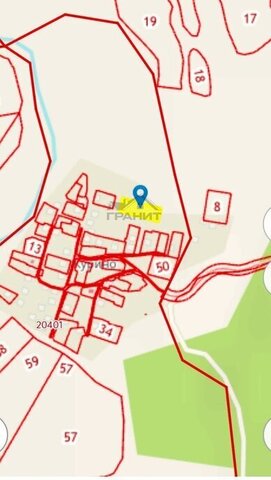 д Курино 31А фото д Курино 31А фото