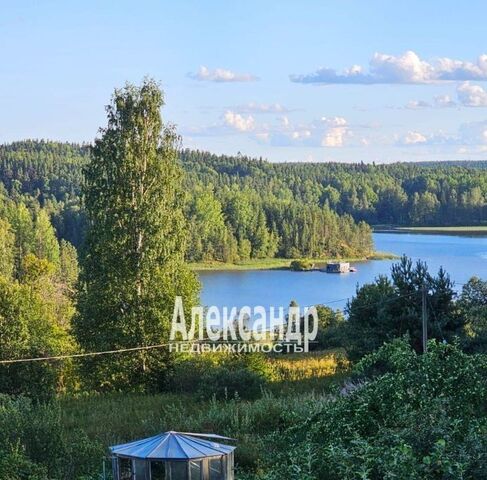 р-н Лахденпохский Рукола тер фото р-н Лахденпохский Рукола тер фото