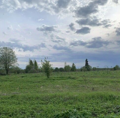 г Осташков д Спицино фото