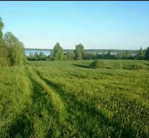 г Осташков д Радухово фото