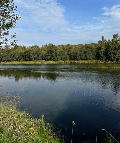 д Куракино фото д Куракино фото