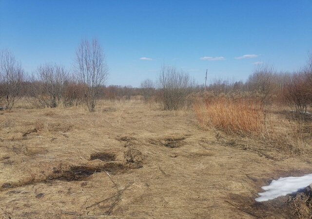 д. Павшино Новленский сельсовет, Устье фото д. Павшино Новленский сельсовет, Устье фото