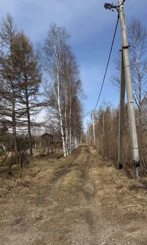 р-н Смидовичский снт Приамурец Еврейская автономная обл., 22, Приамурский фото р-н Смидовичский снт Приамурец Еврейская автономная обл., 22, Приамурский фото