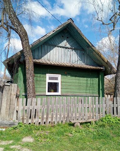 дом с Новые Чешуйки ул Октябрьская Краснокосаровское сельское поселение, Мглин фото