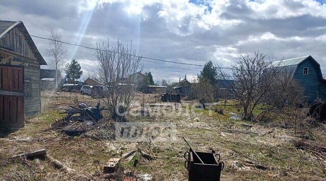 Швейник садоводческое товарищество фото Швейник садоводческое товарищество фото