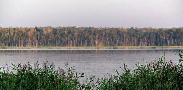п Увельский Хомутининское сельское поселение, Красногорский фото п Увельский Хомутининское сельское поселение, Красногорский фото