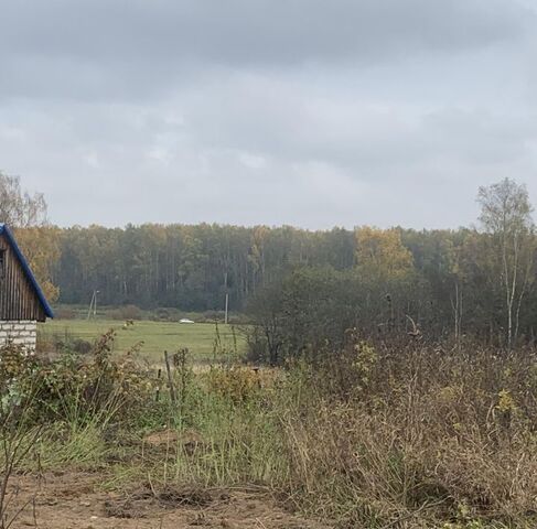 тракт Торопецкий 11 фото тракт Торопецкий 11 фото